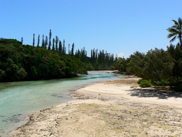 77- La riviere d'Oro a maree basse 